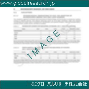 グローバルリサーチ調査資料のイメージ